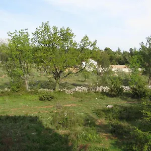 Apartament Paklina